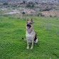 Yuli en el Campo.